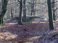 DSC09906
