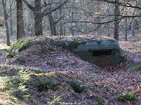 DSC09908
