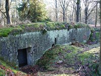 DSC09909