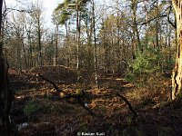 DSC09927