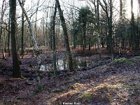 DSC09929