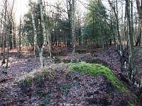 DSC09930