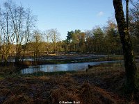 DSC09931