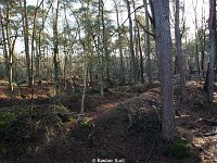 DSC09934