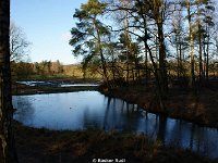 DSC09935