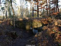 DSC09940