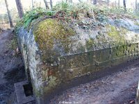 DSC09943