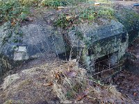 DSC09944