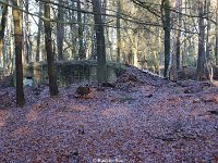 DSC09954
