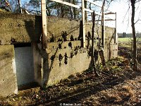 DSC09958
