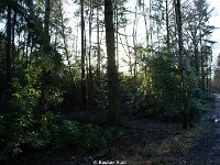 DSC09967