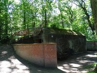 DSC00231