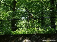 DSC00240