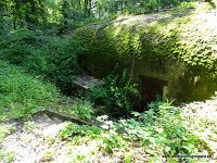DSC00249