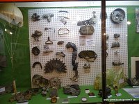 DSC00276