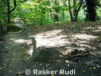 DSC02463