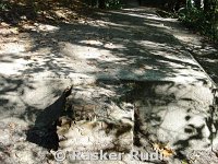 DSC02467
