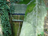 DSC02491