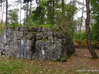 DSC09761