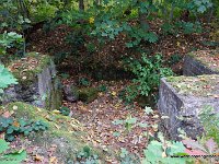 DSC09776