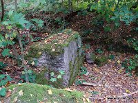 DSC09778