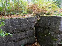 DSC09779