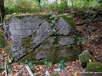 DSC09780