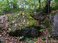 DSC09781