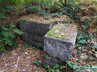 DSC09784