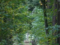 DSC09797