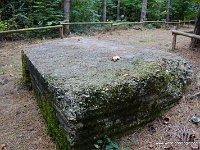 DSC09818