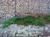 DSC00135