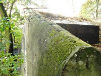DSC02432