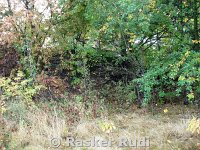 DSC02435