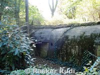 DSC02505