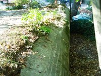 DSC02512