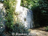 DSC02518