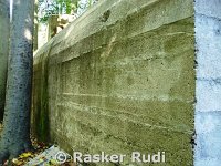DSC02519