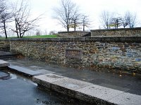 DSC02842