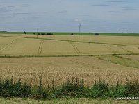 266-DSC01427