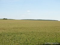 267-DSC01428