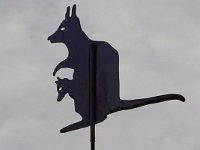 DSC07218