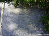 DSC00619