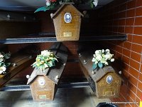 DSC06361