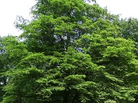 285-DSC01449