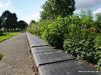 DSC09613