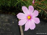DSC09616