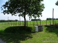 DSC00593