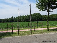 DSC00596