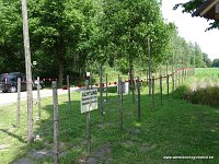 DSC00597